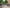 2021 PHOTO 2021 07 02 23 04 30