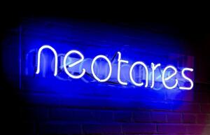 neotares Consult GmbH_10 Jahre neotares_Jubiläumsgeschichte_2025_45