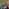 250521 New Work Evolution Website 1