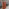 neotares_Aktuelles_10-jährige Zusammenarbeit und Expansion von Delivery Hero in das Haupttelegraphenamt_2024_08