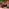 240902 Arbeitseinblick Kat Website neu