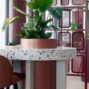 neotares_Aktuelles_Internationale_Wirtschaftskanzlei_2025_08