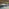Aktuelles_neotares_New Work Evolution 2