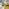 neotares_Aktuelles_ORGATEC Cologne 2024_2024_01