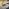 neotares_Aktuelles_ORGATEC Cologne 2024_2024_05