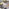 240816 RAL Workshop HH Webseite neu
