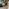 240816 RAL Workshop HH Webseite neu2