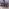neotares_Aktuelles_neotrip_Berlin_2025_01