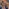neotares_Aktuelles_neotrip_Berlin_2025_02