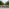 240712 Neotrip 1 Webseite2
