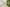 Referenze_neotares_DBAG 12