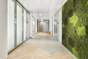 neotares Consult GmbH_Presse_neotares entwickelt neue Arbeitswelten für Bürostandort der Deutschen Beteiligungs AG_2023_12