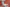 neotares_Referenzen_1822direkt_2025_14
