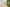 neotares_Referenzen_Deutsche Beteiligungs AG_2023_02