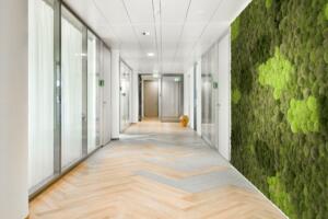 neotares Consult GmbH_Referenzen_Deutsche Beteiligungs AG_2023_02