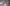 neotares_References_Mondia_2023_05