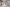 neotares_Referenzen_Veolia_2025_09