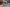 neotares_Referenzen_Delivery Hero_2024_01